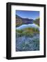 USA, Colorado, San Juan Mountains. Frosty morning at Crystal Lake.-Jaynes Gallery-Framed Photographic Print