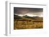 USA, Colorado, San Juan Mountains. Landscape and Fence at Sunset-Jaynes Gallery-Framed Photographic Print