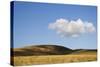 USA, Colorado, San Juan Mountains. Landscape of Wilson Mesa-Jaynes Gallery-Stretched Canvas
