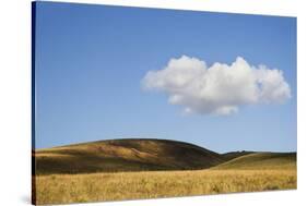 USA, Colorado, San Juan Mountains. Landscape of Wilson Mesa-Jaynes Gallery-Stretched Canvas