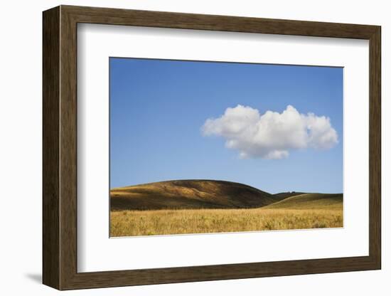 USA, Colorado, San Juan Mountains. Landscape of Wilson Mesa-Jaynes Gallery-Framed Photographic Print