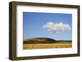 USA, Colorado, San Juan Mountains. Landscape of Wilson Mesa-Jaynes Gallery-Framed Photographic Print