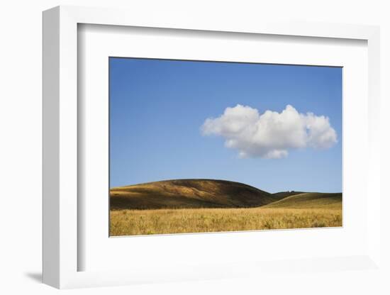 USA, Colorado, San Juan Mountains. Landscape of Wilson Mesa-Jaynes Gallery-Framed Photographic Print