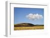 USA, Colorado, San Juan Mountains. Landscape of Wilson Mesa-Jaynes Gallery-Framed Photographic Print
