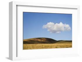 USA, Colorado, San Juan Mountains. Landscape of Wilson Mesa-Jaynes Gallery-Framed Photographic Print