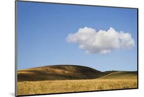 USA, Colorado, San Juan Mountains. Landscape of Wilson Mesa-Jaynes Gallery-Mounted Photographic Print