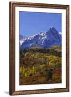 USA, Colorado, San Juan Mountains. Mountain and forest in autumn.-Jaynes Gallery-Framed Premium Photographic Print