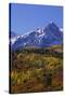 USA, Colorado, San Juan Mountains. Mountain and forest in autumn.-Jaynes Gallery-Stretched Canvas