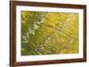USA, Colorado, San Juan Mountains. Reflection in Woods Lake-Jaynes Gallery-Framed Photographic Print