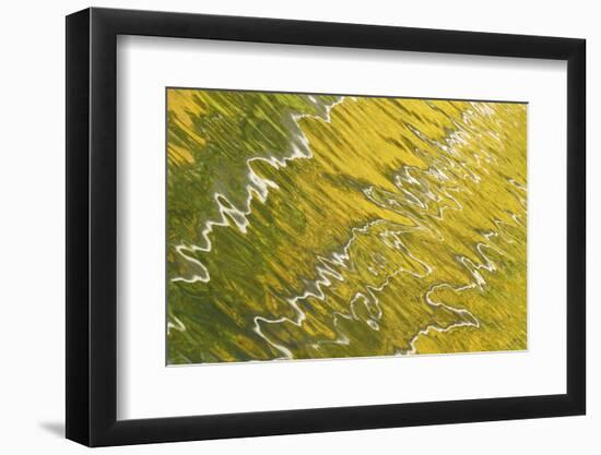 USA, Colorado, San Juan Mountains. Reflection in Woods Lake-Jaynes Gallery-Framed Photographic Print