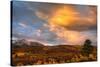 USA, Colorado, San Juan Mountains. Sunset on forest landscape.-Jaynes Gallery-Stretched Canvas