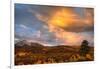 USA, Colorado, San Juan Mountains. Sunset on forest landscape.-Jaynes Gallery-Framed Photographic Print