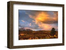 USA, Colorado, San Juan Mountains. Sunset on forest landscape.-Jaynes Gallery-Framed Photographic Print