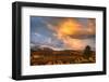 USA, Colorado, San Juan Mountains. Sunset on forest landscape.-Jaynes Gallery-Framed Photographic Print