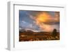 USA, Colorado, San Juan Mountains. Sunset on forest landscape.-Jaynes Gallery-Framed Photographic Print