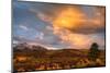 USA, Colorado, San Juan Mountains. Sunset on forest landscape.-Jaynes Gallery-Mounted Photographic Print