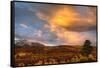USA, Colorado, San Juan Mountains. Sunset on forest landscape.-Jaynes Gallery-Framed Stretched Canvas