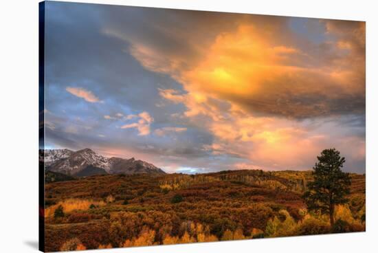 USA, Colorado, San Juan Mountains. Sunset on forest landscape.-Jaynes Gallery-Stretched Canvas
