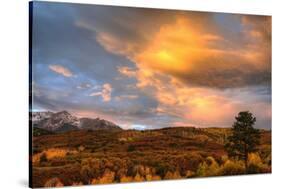 USA, Colorado, San Juan Mountains. Sunset on forest landscape.-Jaynes Gallery-Stretched Canvas