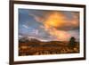 USA, Colorado, San Juan Mountains. Sunset on forest landscape.-Jaynes Gallery-Framed Premium Photographic Print