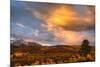 USA, Colorado, San Juan Mountains. Sunset on forest landscape.-Jaynes Gallery-Mounted Premium Photographic Print