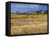 USA, Colorado, San Juan Mountains, Uncompahgre National Forest-John Barger-Framed Stretched Canvas