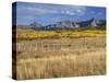 USA, Colorado, San Juan Mountains, Uncompahgre National Forest-John Barger-Stretched Canvas