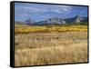USA, Colorado, San Juan Mountains, Uncompahgre National Forest-John Barger-Framed Stretched Canvas