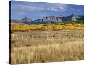USA, Colorado, San Juan Mountains, Uncompahgre National Forest-John Barger-Stretched Canvas