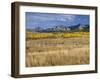 USA, Colorado, San Juan Mountains, Uncompahgre National Forest-John Barger-Framed Photographic Print