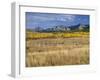 USA, Colorado, San Juan Mountains, Uncompahgre National Forest-John Barger-Framed Photographic Print