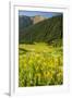 USA, Colorado, San Juan Mountains. Wildflowers and Mountain Landscape-Jaynes Gallery-Framed Photographic Print