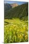 USA, Colorado, San Juan Mountains. Wildflowers and Mountain Landscape-Jaynes Gallery-Mounted Photographic Print