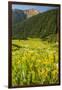 USA, Colorado, San Juan Mountains. Wildflowers and Mountain Landscape-Jaynes Gallery-Framed Photographic Print