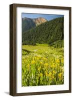 USA, Colorado, San Juan Mountains. Wildflowers and Mountain Landscape-Jaynes Gallery-Framed Photographic Print
