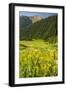 USA, Colorado, San Juan Mountains. Wildflowers and Mountain Landscape-Jaynes Gallery-Framed Photographic Print