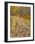 USA, Colorado, San Juan Mts. Fallen aspen leaves on a dirt road in the fall along Keebler Pass-Julie Eggers-Framed Photographic Print