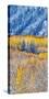 USA, Colorado, San Juan Mts. Fresh snow on aspens in the fall.-Julie Eggers-Stretched Canvas