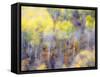 USA, Colorado, San Juan Mts. Yellow and orange fall aspens in Gunnison National forest.-Julie Eggers-Framed Stretched Canvas