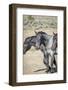 USA, Colorado, San Luis. Wild horses close-up.-Jaynes Gallery-Framed Photographic Print