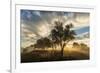 USA, Colorado, Sawhill Ponds. Sunrise on field.-Jaynes Gallery-Framed Photographic Print