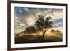 USA, Colorado, Sawhill Ponds. Sunrise on field.-Jaynes Gallery-Framed Photographic Print