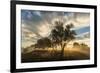 USA, Colorado, Sawhill Ponds. Sunrise on field.-Jaynes Gallery-Framed Photographic Print