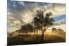 USA, Colorado, Sawhill Ponds. Sunrise on field.-Jaynes Gallery-Mounted Photographic Print