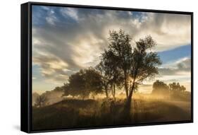 USA, Colorado, Sawhill Ponds. Sunrise on field.-Jaynes Gallery-Framed Stretched Canvas