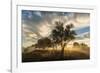 USA, Colorado, Sawhill Ponds. Sunrise on field.-Jaynes Gallery-Framed Photographic Print