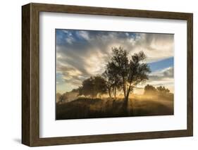 USA, Colorado, Sawhill Ponds. Sunrise on field.-Jaynes Gallery-Framed Photographic Print