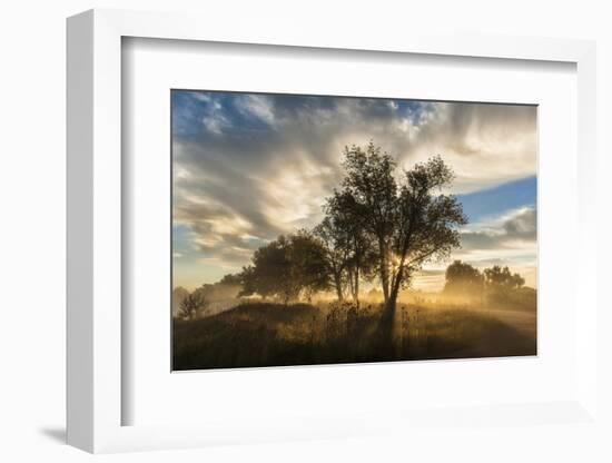 USA, Colorado, Sawhill Ponds. Sunrise on field.-Jaynes Gallery-Framed Photographic Print