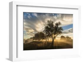 USA, Colorado, Sawhill Ponds. Sunrise on field.-Jaynes Gallery-Framed Photographic Print