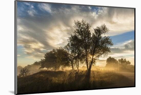 USA, Colorado, Sawhill Ponds. Sunrise on field.-Jaynes Gallery-Mounted Photographic Print